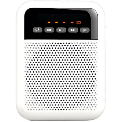 Портативная акустическая система Laudio WS-VA030-Pro