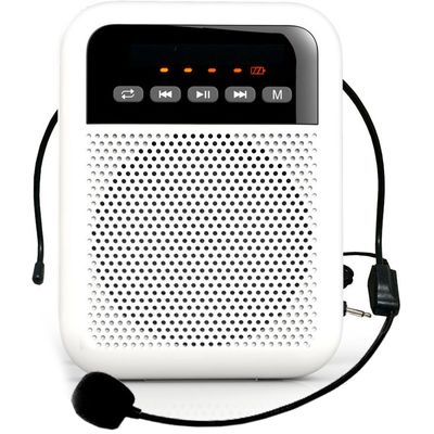 Портативная акустическая система Laudio WS-VA030-Pro, изображение 2