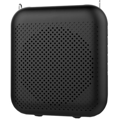 Портативная акустическая система Laudio WS-VA058-Pro