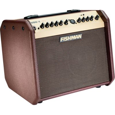 Комбоусилитель Fishman PRO-LBT-EU5 Loudbox Mini, изображение 2