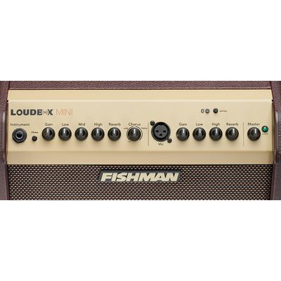 Комбоусилитель Fishman PRO-LBT-EU5 Loudbox Mini, изображение 6
