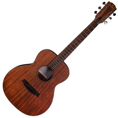 Гитара акустическая Prodipe BB27MHS