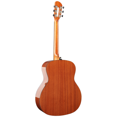 Гитара акустическая Prodipe SGA200, изображение 2