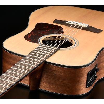 12-ти струнная гитара Walden D552E, изображение 3