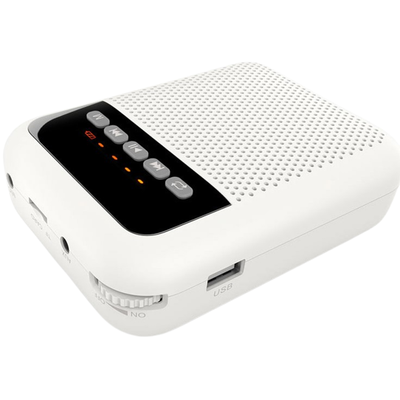 Портативная акустическая система LAudio WS-VA030, изображение 2