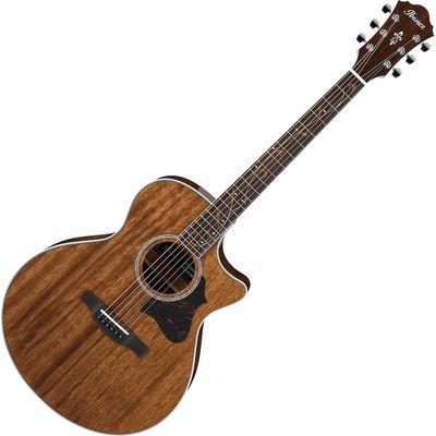 Гитара электроакустическая Ibanez AE245-NT