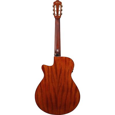 Гитара классическая Ibanez AEG50N-NT, изображение 2