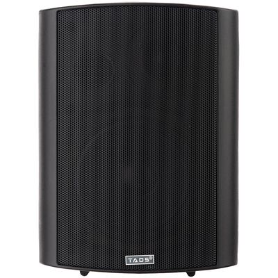 Настенная акустическая система TADS DS-502-Black