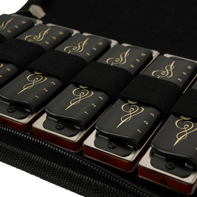 Набор губных гармошек Cascha HH 2224 Professional Blues, изображение 4
