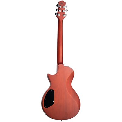 Электрогитара Eart EGLP-610 Honey Tea, изображение 2