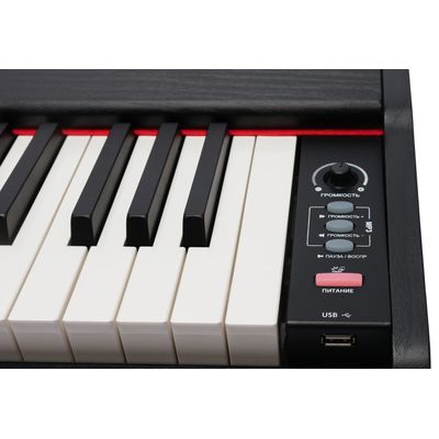 Цифровое пианино Rockdale Keys RDP-1088, изображение 4