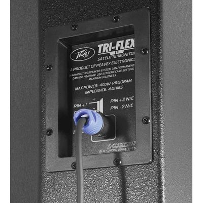 Комплект акустических систем Peavey TriFlex II, изображение 3