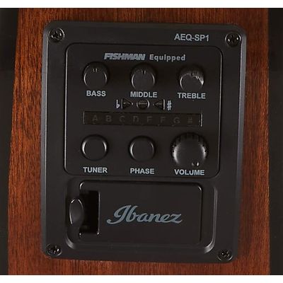 Гитара электроакустическая Ibanez AEWC11-DVS, изображение 4