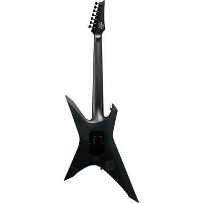 Электрогитара Ibanez XPTB720-BKF, изображение 2