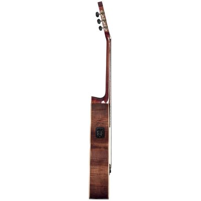 Гитара классическая LaMancha Opalo SX-FEN, изображение 3