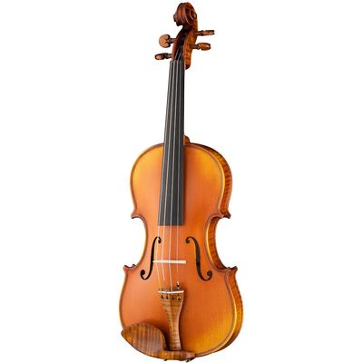 Скрипка Gliga PG-V044-A Professional Gama Genova
