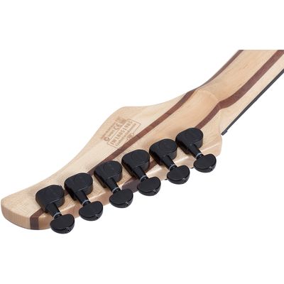 Электрогитара Schecter Reaper-6 SCB
