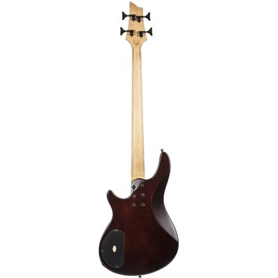 Бас-гитара Schecter SGR C-4 Bass WSN