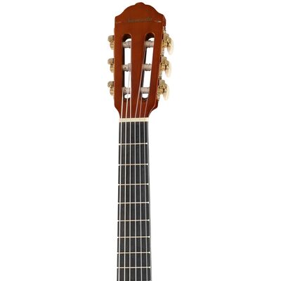 Гитара классическая Naranda CG220-1/2, изображение 5