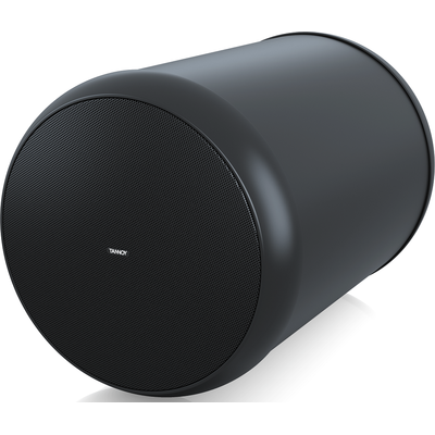 Пассивная акустическая система Tannoy OCV 6, изображение 5