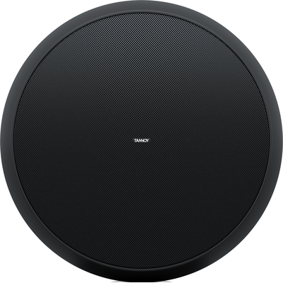 Пассивная акустическая система Tannoy OCV 8