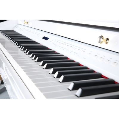 Цифровой рояль Ringway GDP-6320 Polish WhiteЦифровой рояль Ringway GDP-6320 Polish White