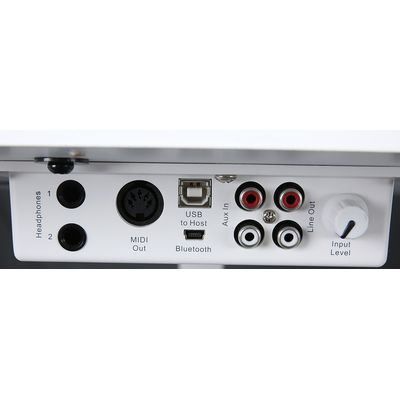 Цифровой рояль Ringway GDP-6320 Polish White