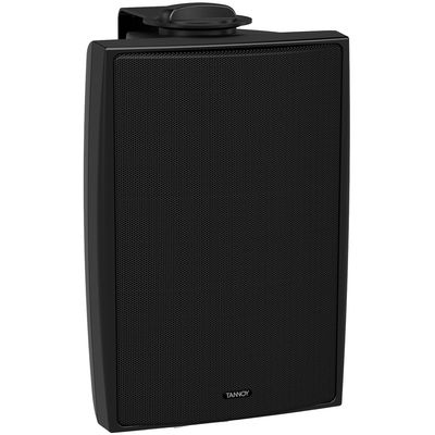Пассивная акустическая система Tannoy DVS 4