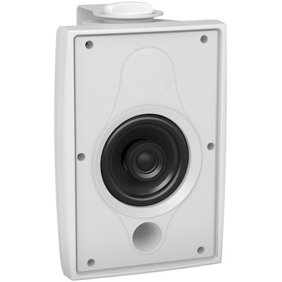 Пассивная акустическая система Tannoy DVS 4 WH