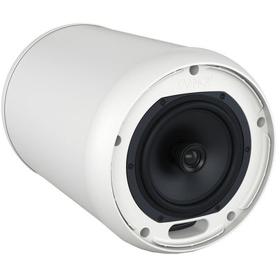 Пассивная акустическая система Tannoy OCV 6 WH