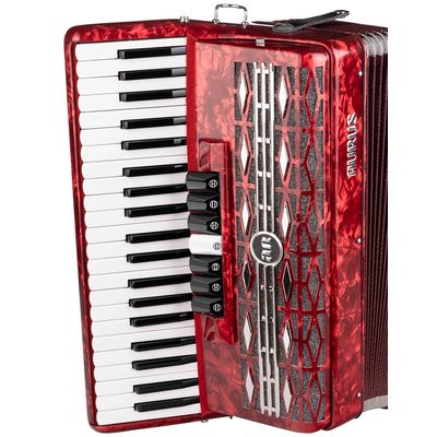 Аккордеон Aurus JH2008-R 41/120/7/2, изображение 2