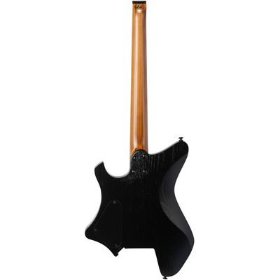 Электрогитара Eart GW2 Stealth Black, изображение 3