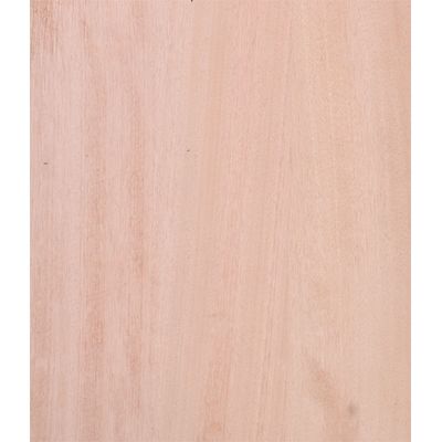 Заготовка корпуса электрогитары Sunsmile GB-Mahogany