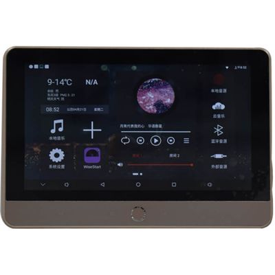 Трансляционный проигрыватель TADS DS-ZN206