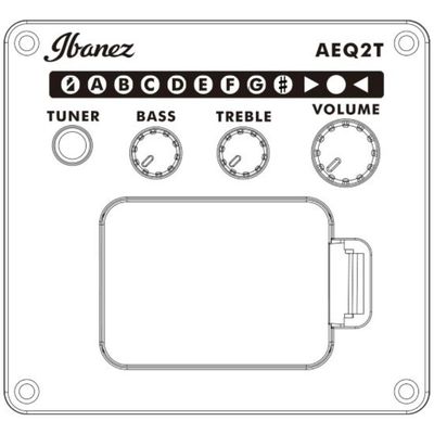 Гитара электроакустическая Ibanez PF16WCE-NT, изображение 4