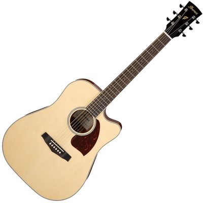 Гитара электроакустическая Ibanez PF16WCE-NT