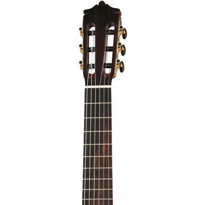 Гитара классическая Martinez Alto, изображение 5