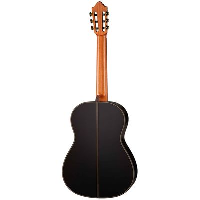 Гитара классическая Martinez DF69-Retro, изображение 2