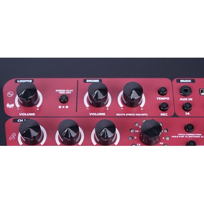Комбоусилитель Joyo BSK-150-BLUE, изображение 6