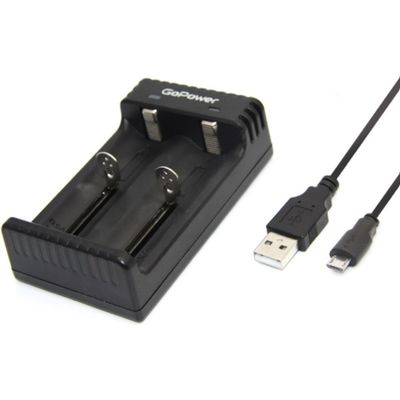 Зарядное устройство для аккумуляторов GoPower 00-00015360 LiCharger 4