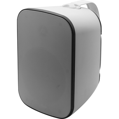 Пассивная акустическая система SVS Audiotechnik PAF-5W PRO