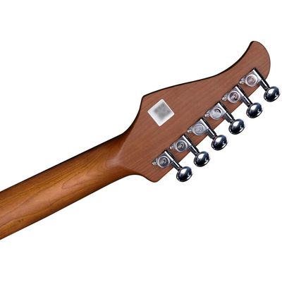 Электрогитара GTRS S800 GR, изображение 4