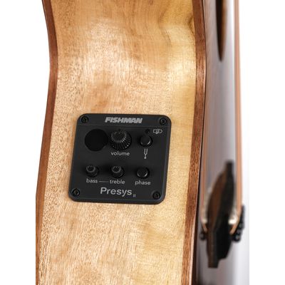 Гитара электроакустическая Cort SFX-Myrtlewood NAT WBAG, изображение 6
