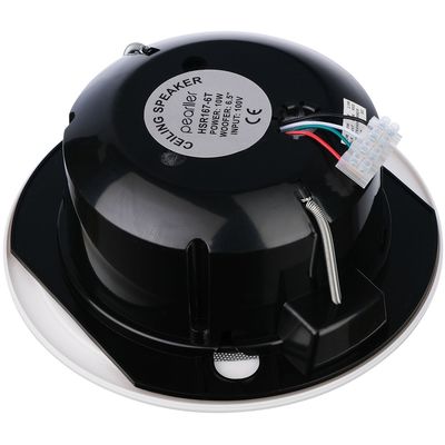 Пассивная акустическая система Pearller HWR108T, изображение 3