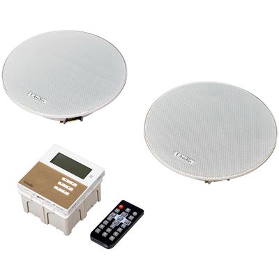 Потолочная акустическая система LAudio LAMX210S