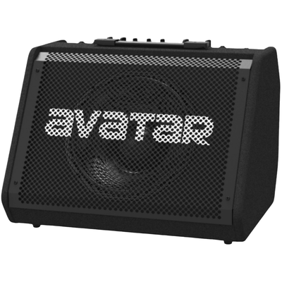 Комбоусилитель Avatar DM60