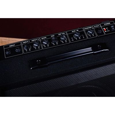 Комбоусилитель Avatar DM60, изображение 2