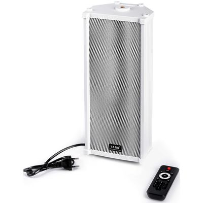 Активная акустическая система TADS DS-20E-A, изображение 2