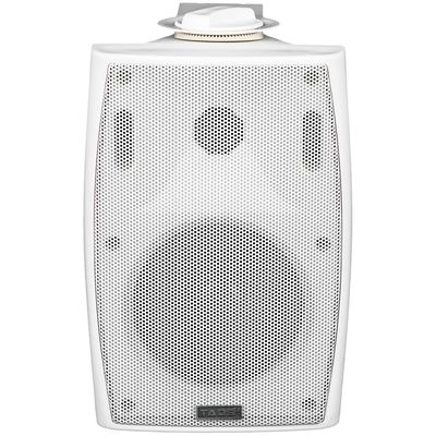 Настенная акустическая система TADS DS-541K