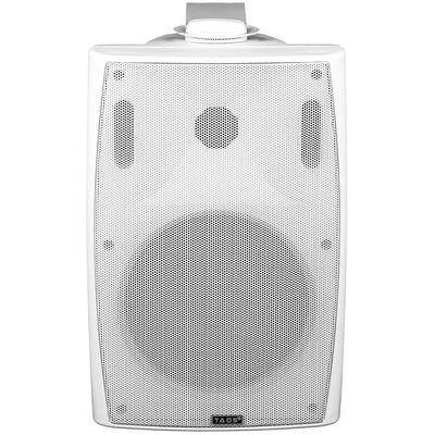 Настенная акустическая система TADS DS-561K